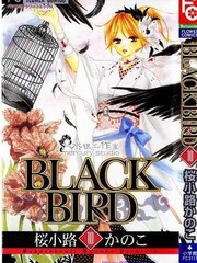 《黑鸟恋人(BLACK BIRD)》樱小路鹿乃子创作【已完结】电子漫画下载—–【JPG/PNG/WEBP】高清完整版【恋爱】