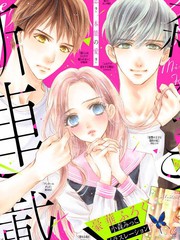 《Sentimental Kiss》小森みっこ创作【连载中】电子漫画下载—–【JPG/PNG/WEBP】高清完整版【恋爱】