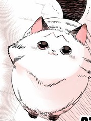 《转生猫猫》远山绘麻创作【连载中】电子漫画下载—–【JPG/PNG/WEBP】高清完整版