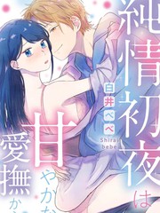 《纯情的初夜要从甜蜜的爱抚开始》白井ベベ创作【已完结】电子漫画下载—–【JPG/PNG/WEBP】高清完整版【恋爱】